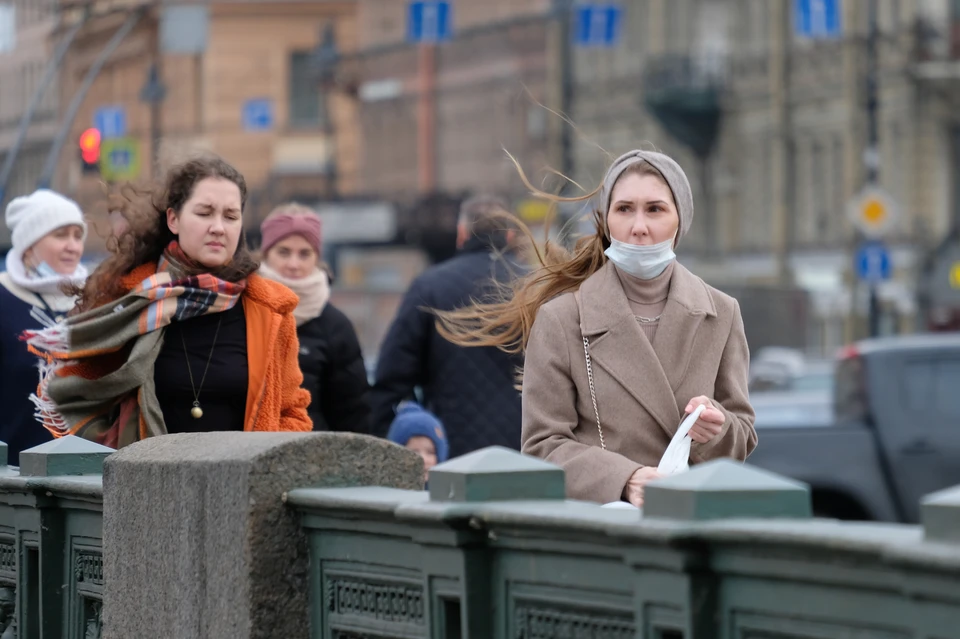 МЧС предупредило о шквальном ветре в Петербурге 20 сентября