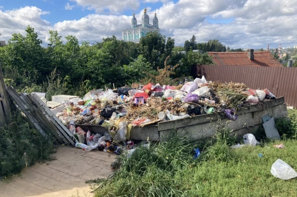 В Смоленской области ликвидировали 19 несанкционированных свалок. Фото: региональный оператор ТКО.