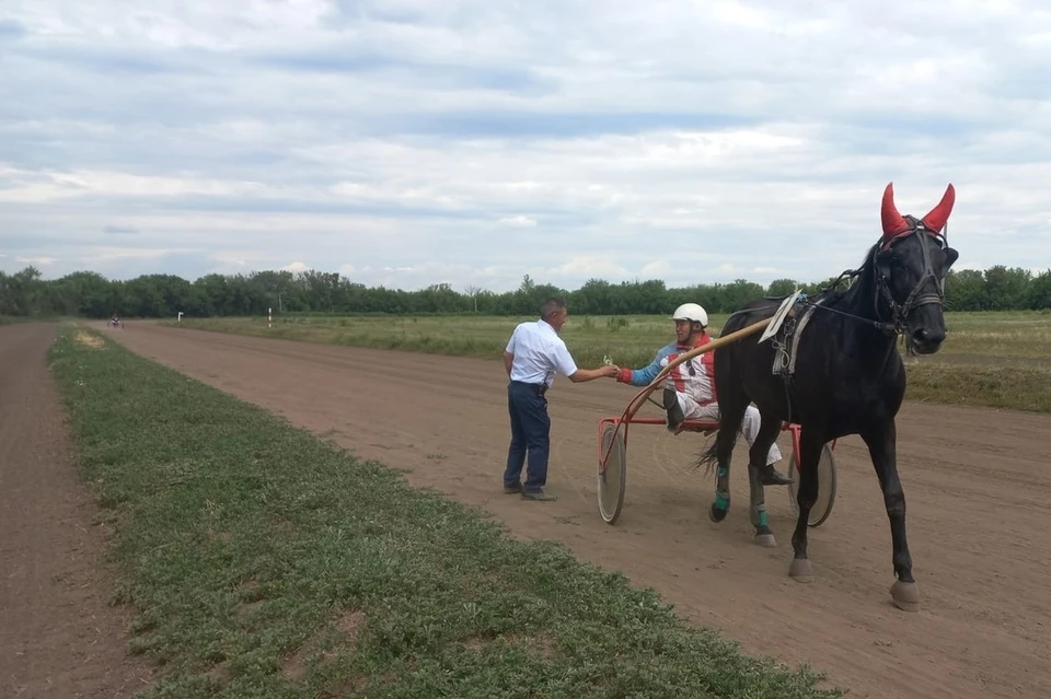 Сезон скачек будет закрыт последним в этом году забегом. Фото: Оренбургский ипподром