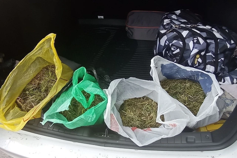 В багажнике оказалось 4 пакета с марихуаной