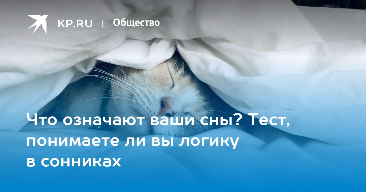 Теста во сне что означает. Всемирный день сновидений. Тест про сон. Всемирный день сновидений 25 сентября. Тест твой сон сбудится.