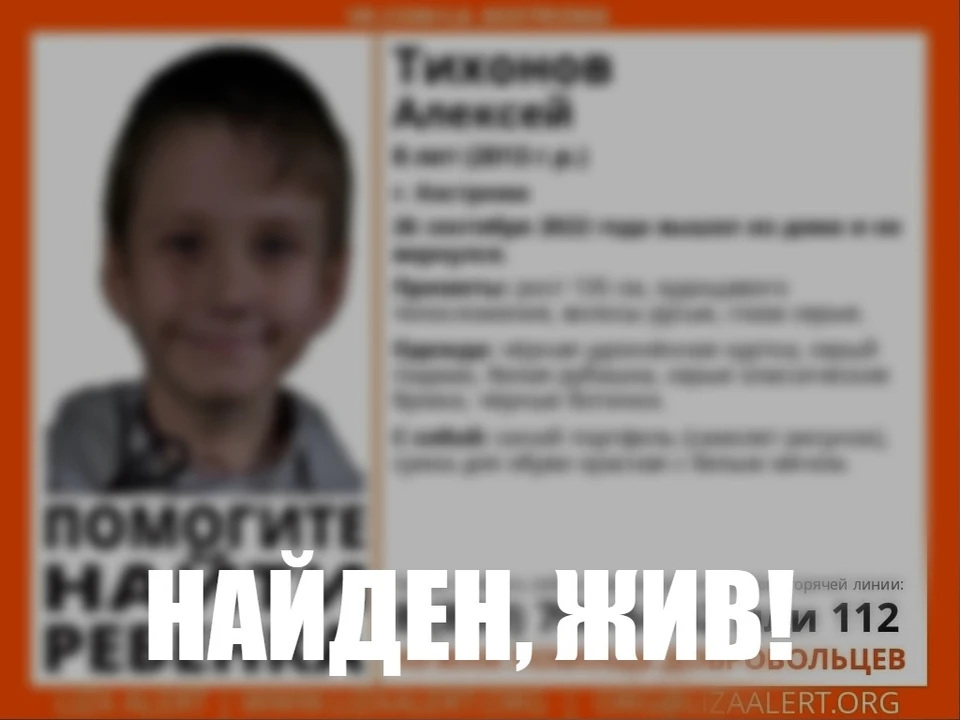 Фото: ДПСО "Лиза Алерт" Костромской области