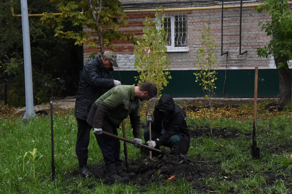 В Ульяновске за осень намерены высадить 3 тысячи кустарников и 900 деревьев