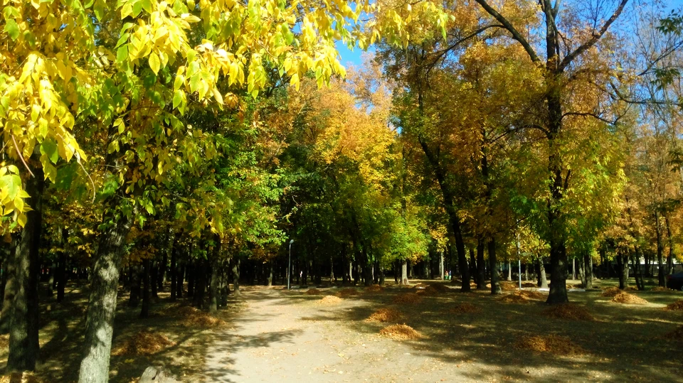 В Белгороде конец недели обещает быть теплым.