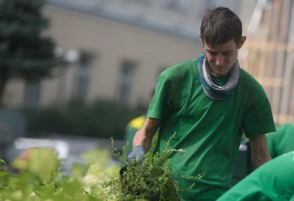 Урбанисты решили озеленить улицу Станиславского от Доломановского до Театрального.