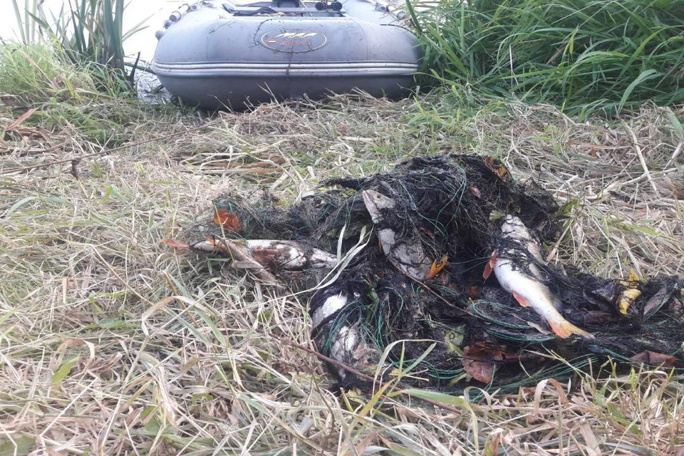 Рыбоохрана задержала браконьера, который поймал 11 щук в Нижегородской области ФОТО: сайт Московско-Окского территориального управления Федерального агентства по рыболовству