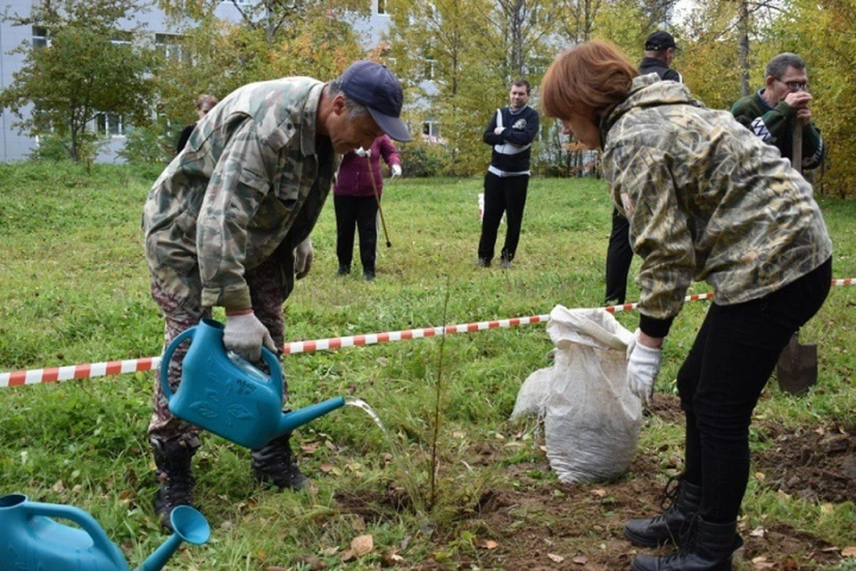 Более 1,5 тысяч саженцев сосны высадили участники акции «Сохраним лес» в Хабаровском крае