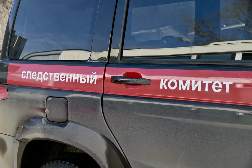 Обвиняемая сейчас находится под стражей