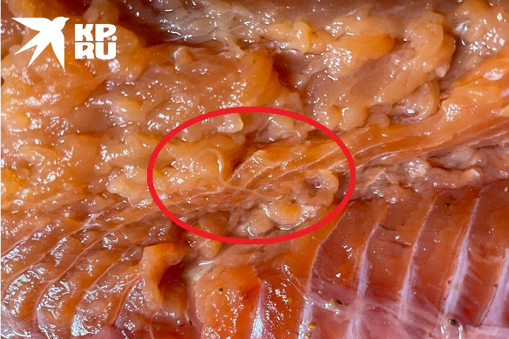 Ужасающие находки в потенциально вкусной еде Фото: предоставлено редакции