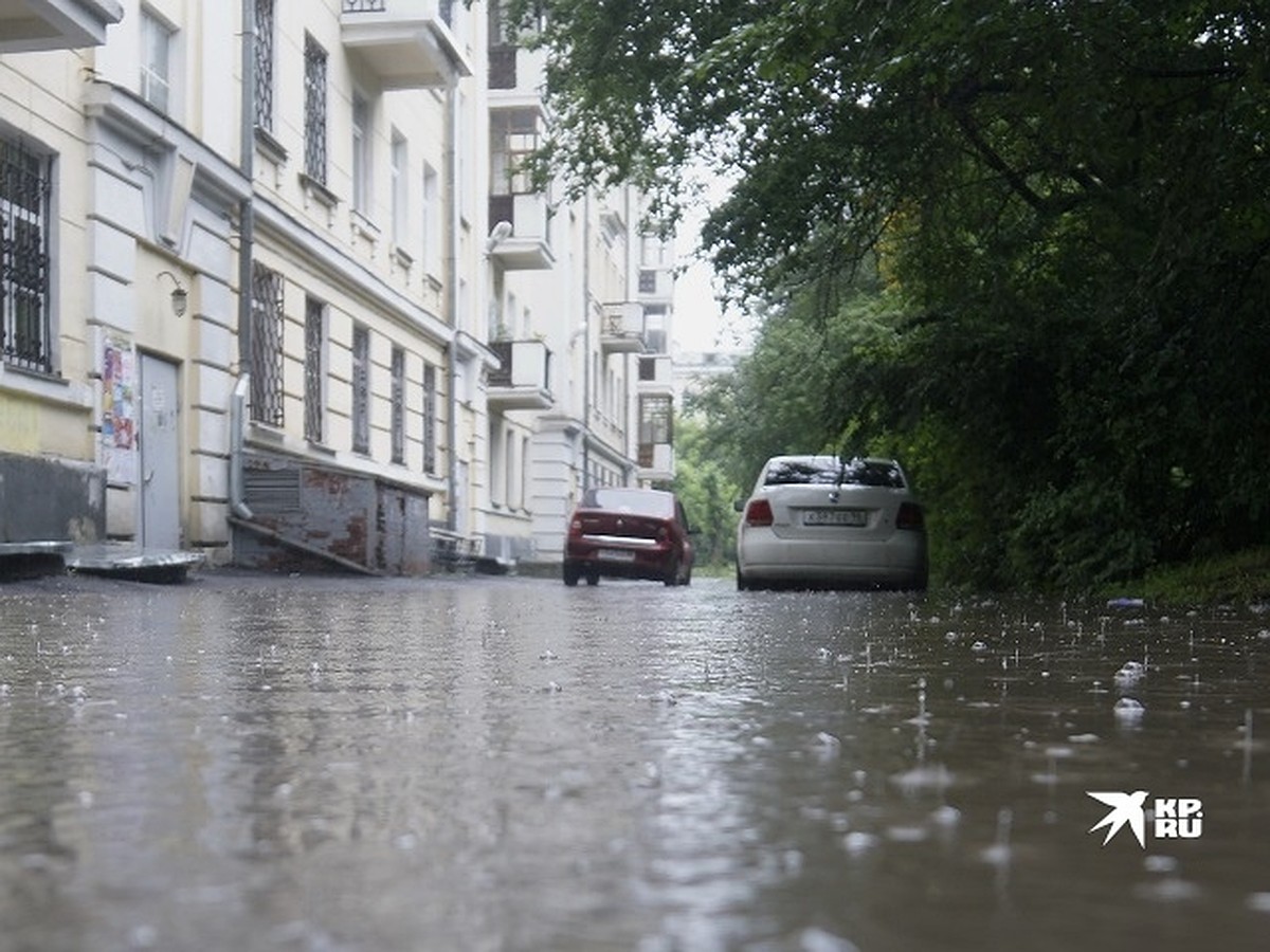 В Екатеринбург пришла дождливая погода - KP.RU