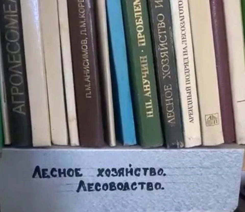 В Волгограде в выходные не нашлось желающих спасать редкие книги из архива  ЦНТИ - KP.RU