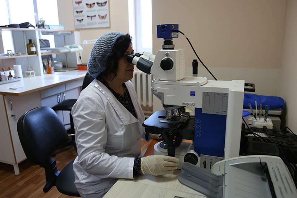 отдел карантина растений. отдел карантина растений. карантин растений.