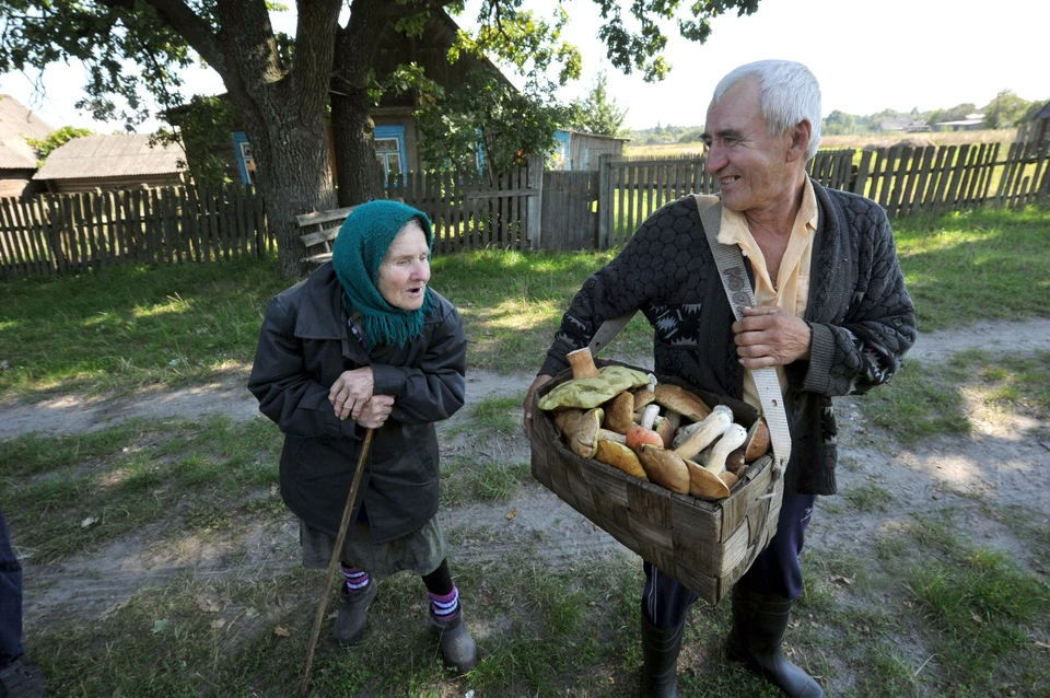 Ульяновские полицейские нашли в лесу и вернули домой пропавшего грибника