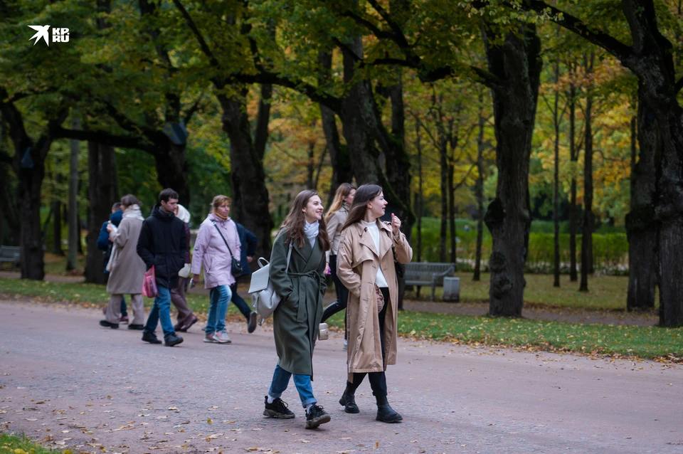19 октября стало самым холодным днем в Петербурге с начала месяца