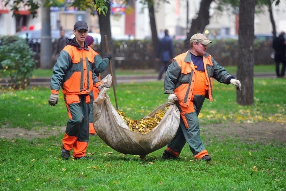В Москве увеличили частоту подметаний улично-дорожной сети из-за опавшей листвы