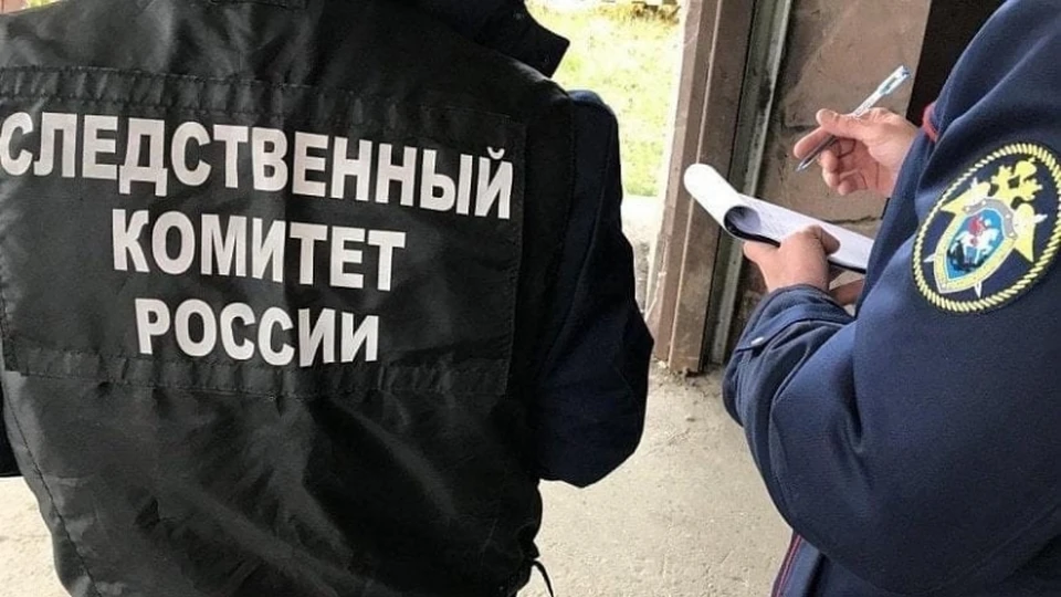 Фото: СУ СКР по Ульяновской области