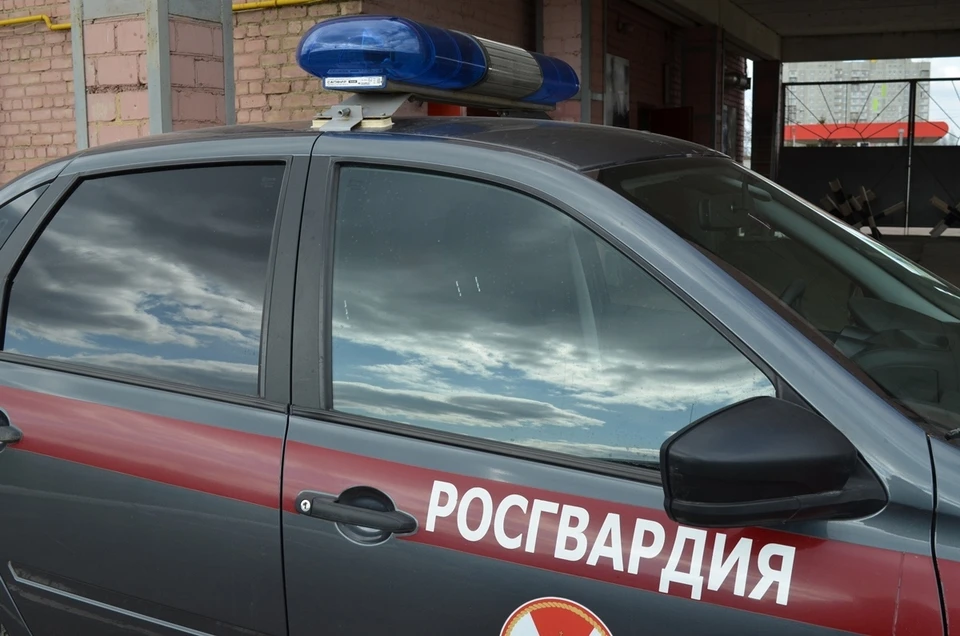Фото: Ольга СУПОНЕВА / Архив "КП"