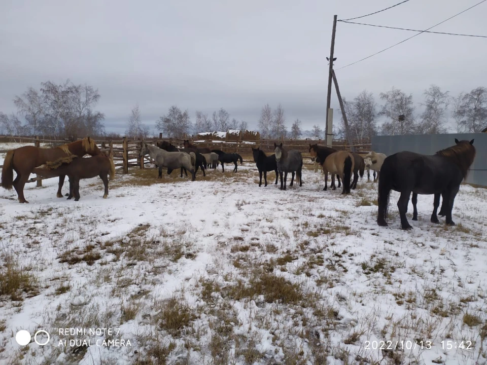 Фото: пресс-служба мэрии Якутска