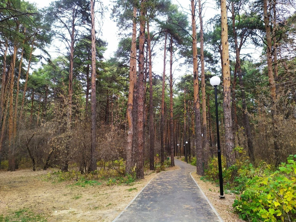 В тюменском воздухе, пахнущем гарью, не нашли вредных веществ.
