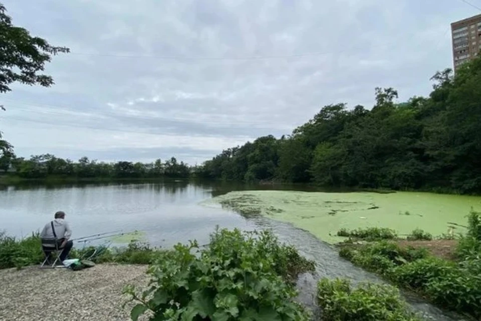 Озера в парке Минного городка.