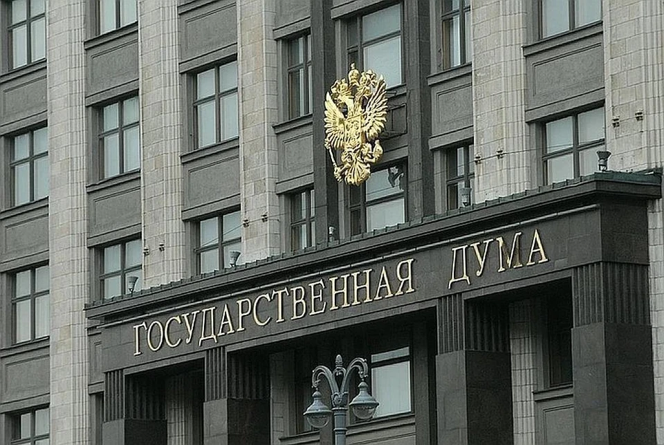 В Госдуме оценили идею создать резервный фонд пенсионной системы