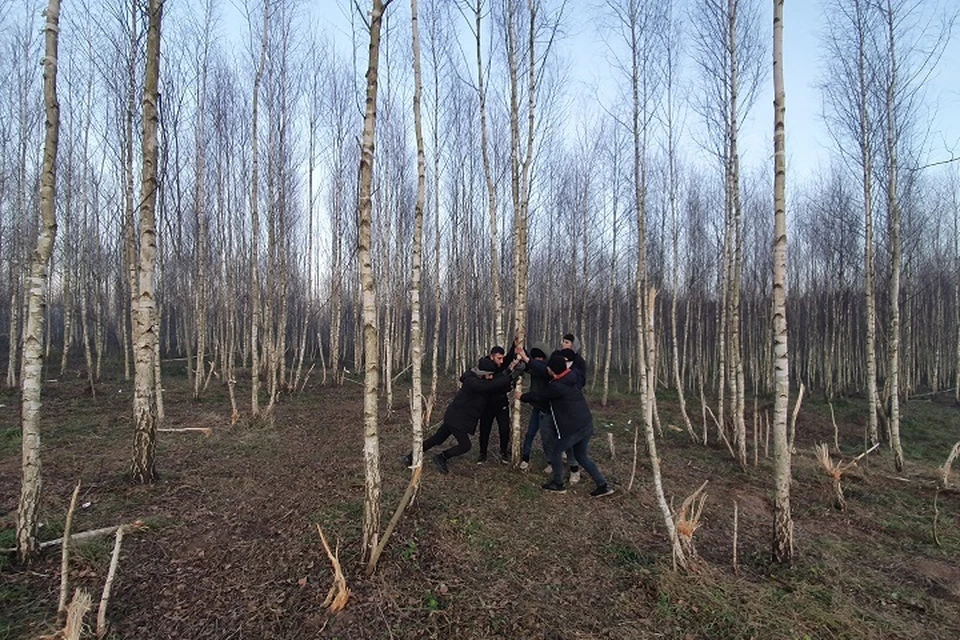 Хабаровские таможенники пресекли крупную контрабанду лесоматериалов
