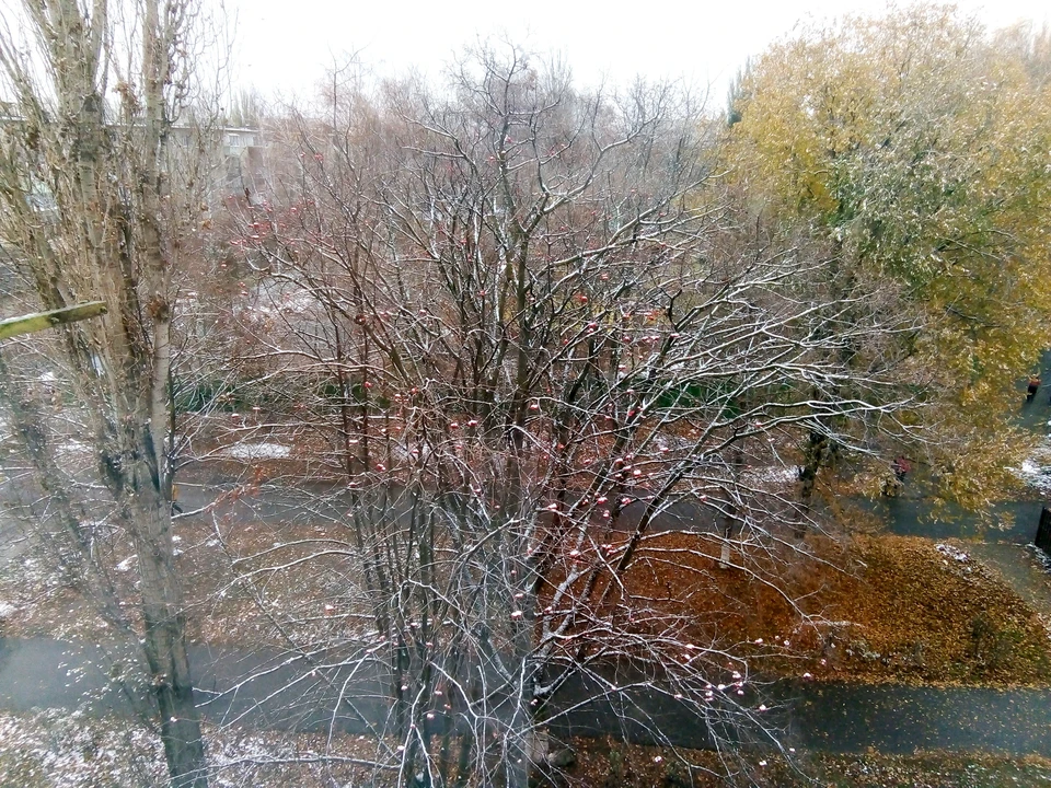 В Белгороде и области уже срывается первый снег.