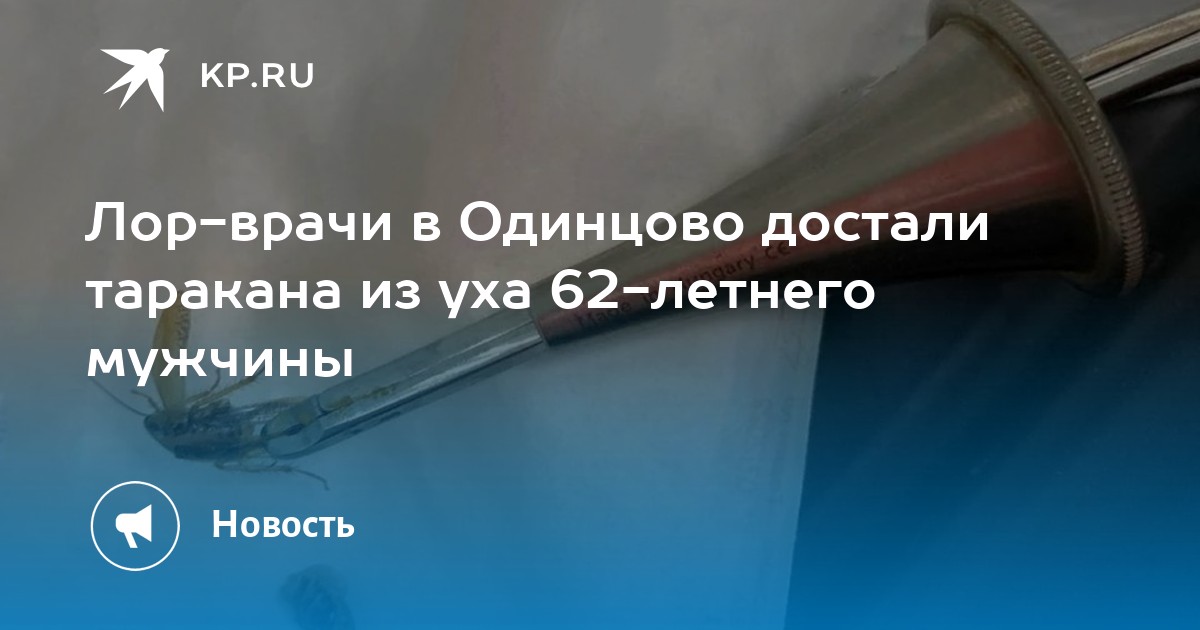 Лор-врачи в Одинцово достали таракана из уха 62-летнего мужчины - KP.RU