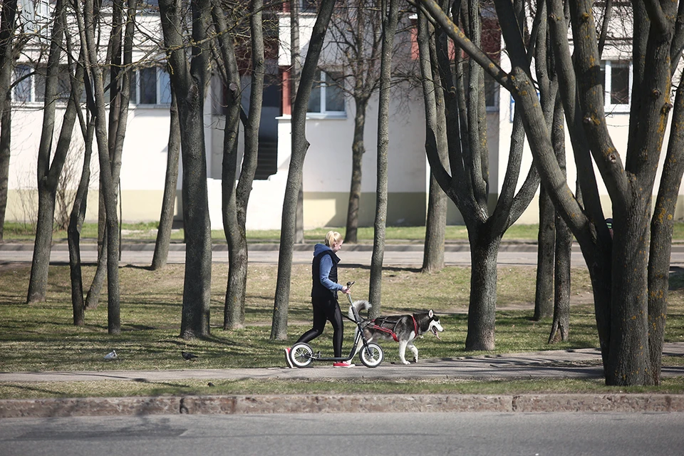 Прогулки и активные в любую погоду осенью и зимой - это то, что нужно для поддержания здоровья.