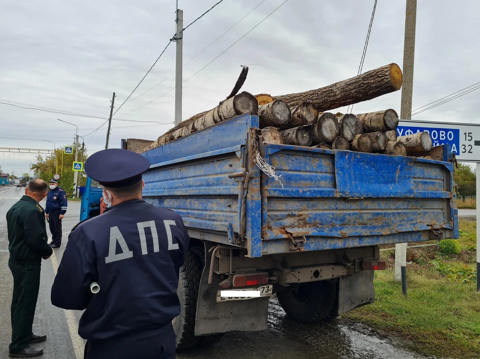 ФОТО: сайт минприроды Ульяновской области