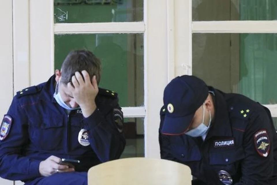 Устанавливаются личности владельцев собак и все обстоятельства происшествия