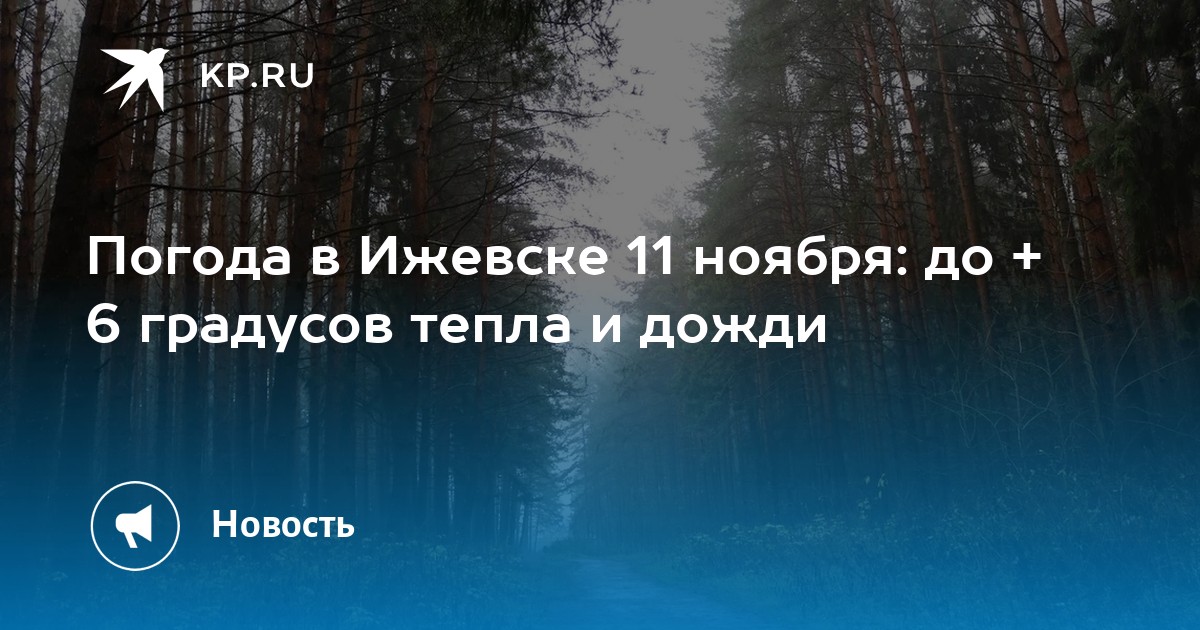 Погода в ижевске на 10. Гидрометцентр Удмуртии. Погода в Ижевске дождь в начале ноября картинки.