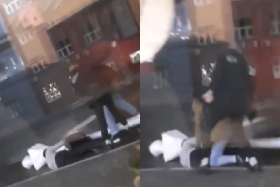 В Новосибирске четверо парней подрались возле суши-бара на пешеходной улице Ленина. Фото: стоп-кадр MDK Новосибирск.