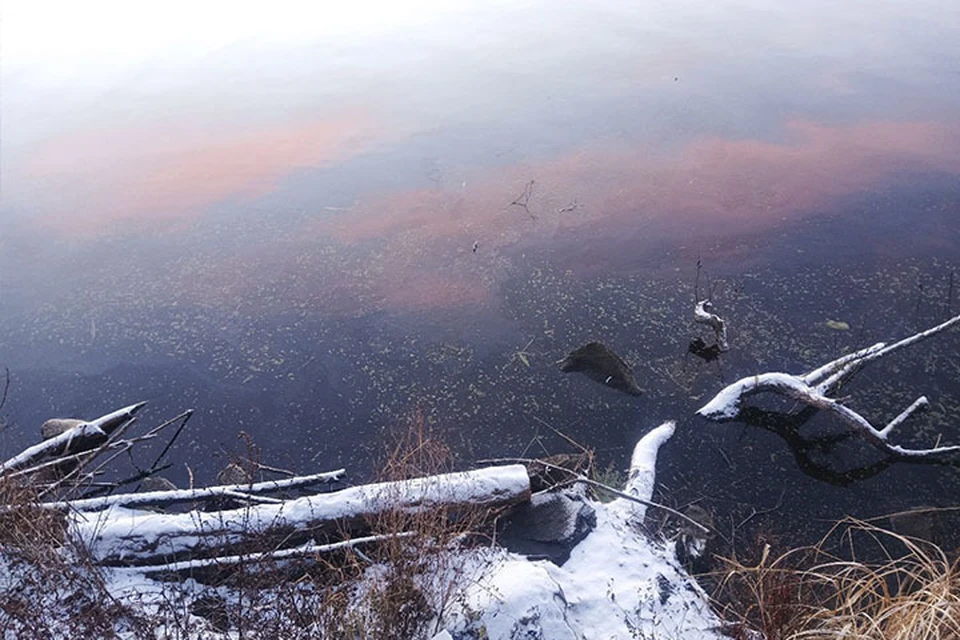 Масляное пятно заметили на поверхности воды в Кимрах Фото: СУ СК РФ по Тверской области