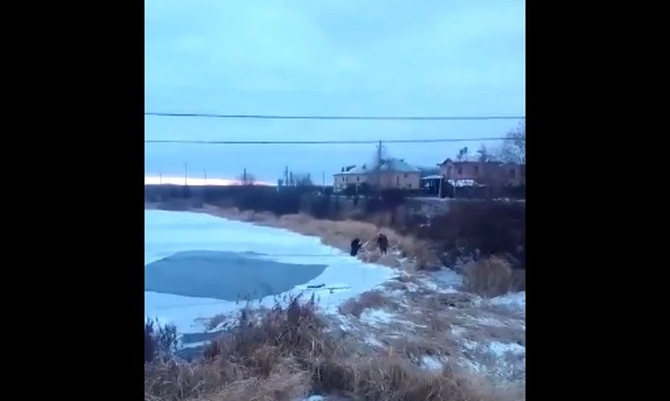 Фото: скриншот видео/ЧП Кострома