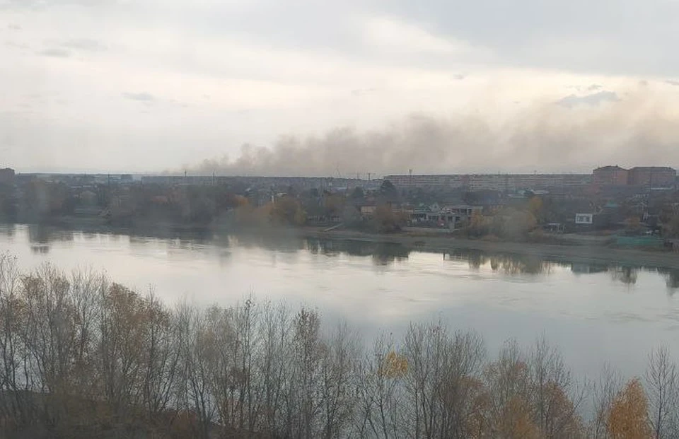 Фото: соцсети