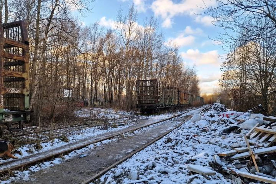 Женщину с крупной партией наркотиков задеражли на Ладожском вокзале Петербурга / Фото: МВД на транспорте
