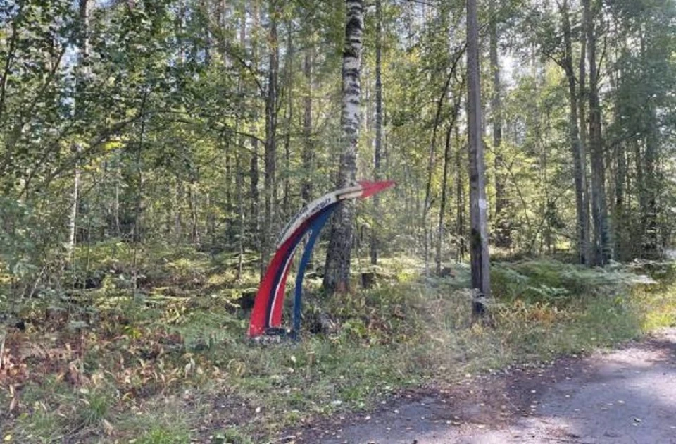 Участок Роскосмоса выставлен на торги. Фото: Фонд имущества Петербурга