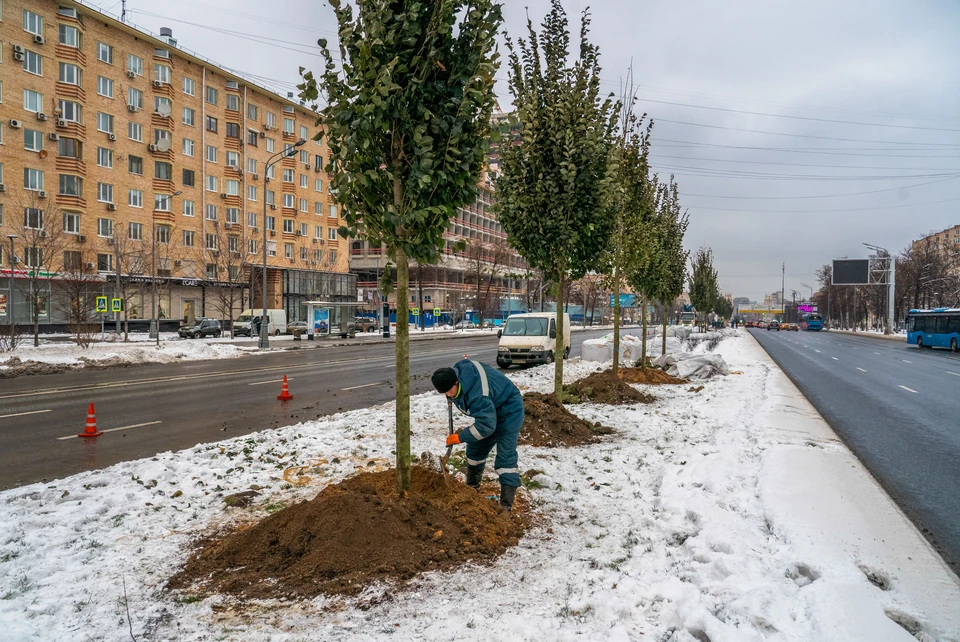 Фото: Комплекс городского хозяйства