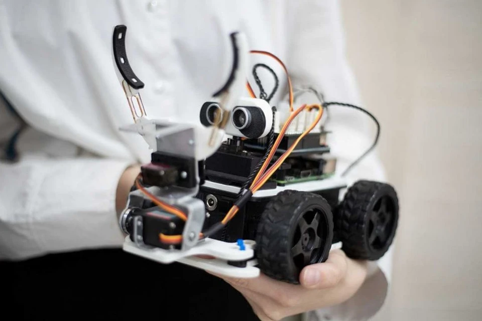 Кота-робота создали новосибирские студенты. Фото: правительство НСО