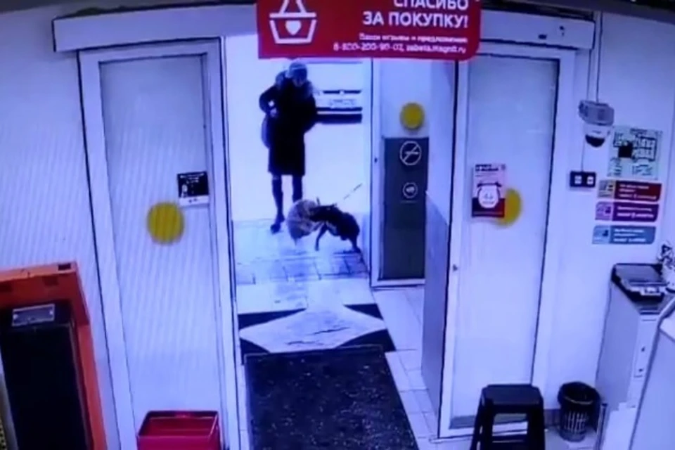 В Рыбинске у дверей магазина собака разорвала кота. ФОТО: группа "Подслушано в Рыбинске" ВКонтакте