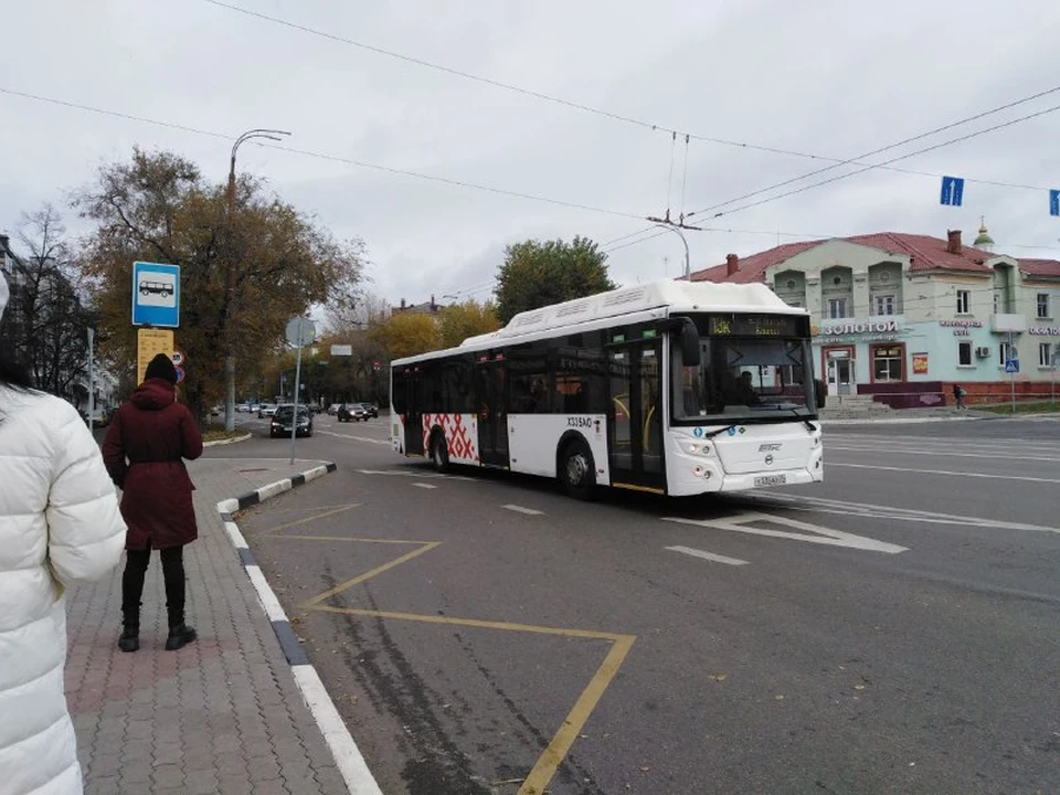 Автобус белгород шебекино