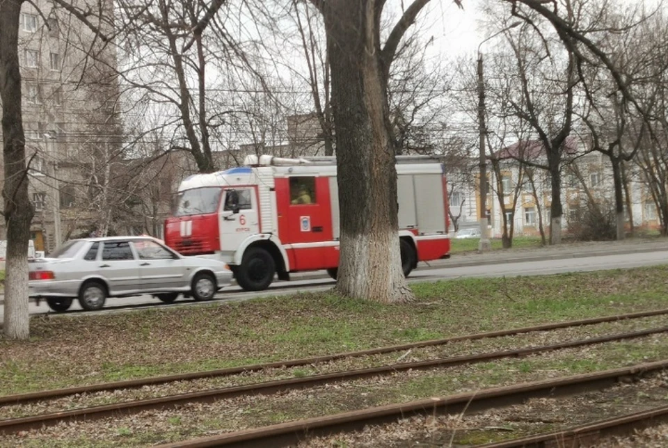 Автомобилистов просят уступать дорогу спецтранспорту