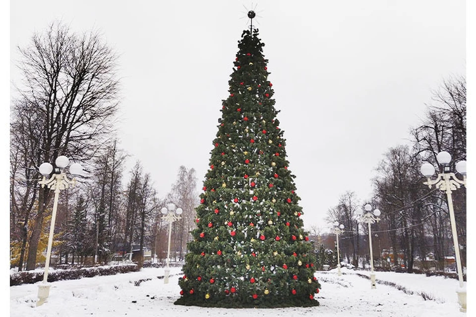 Ёлка в Городском саду