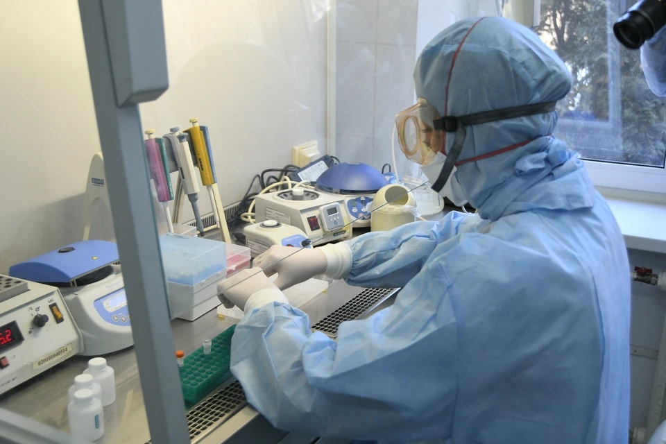 Коронавирус в Тульской области: 1 декабря выявлены 42 новых случаев заболевания за сутки