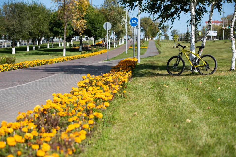 Работы будут вестись в зимний и летний период.