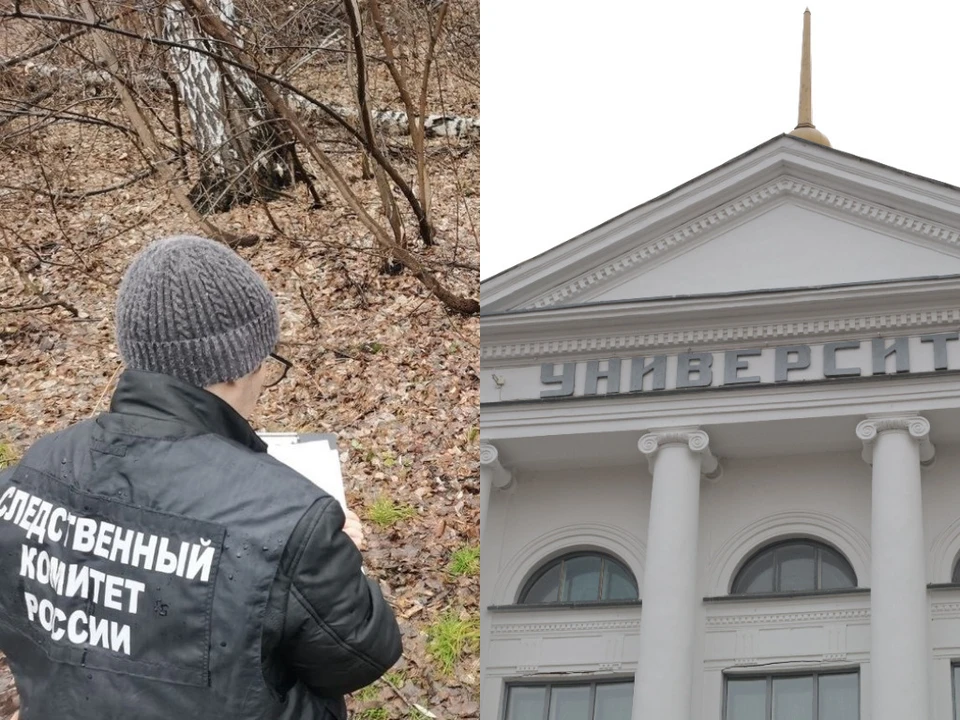 Фото: СУ СК РФ по Томской области / Ксения Высотина