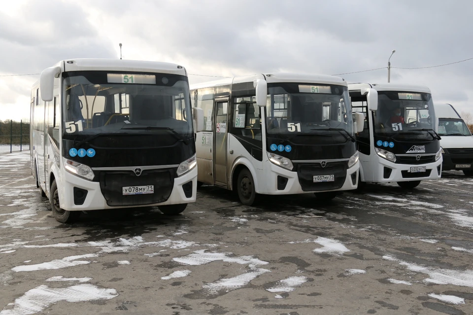 В Туле коммерческие перевозчики обновляют подвижной состав