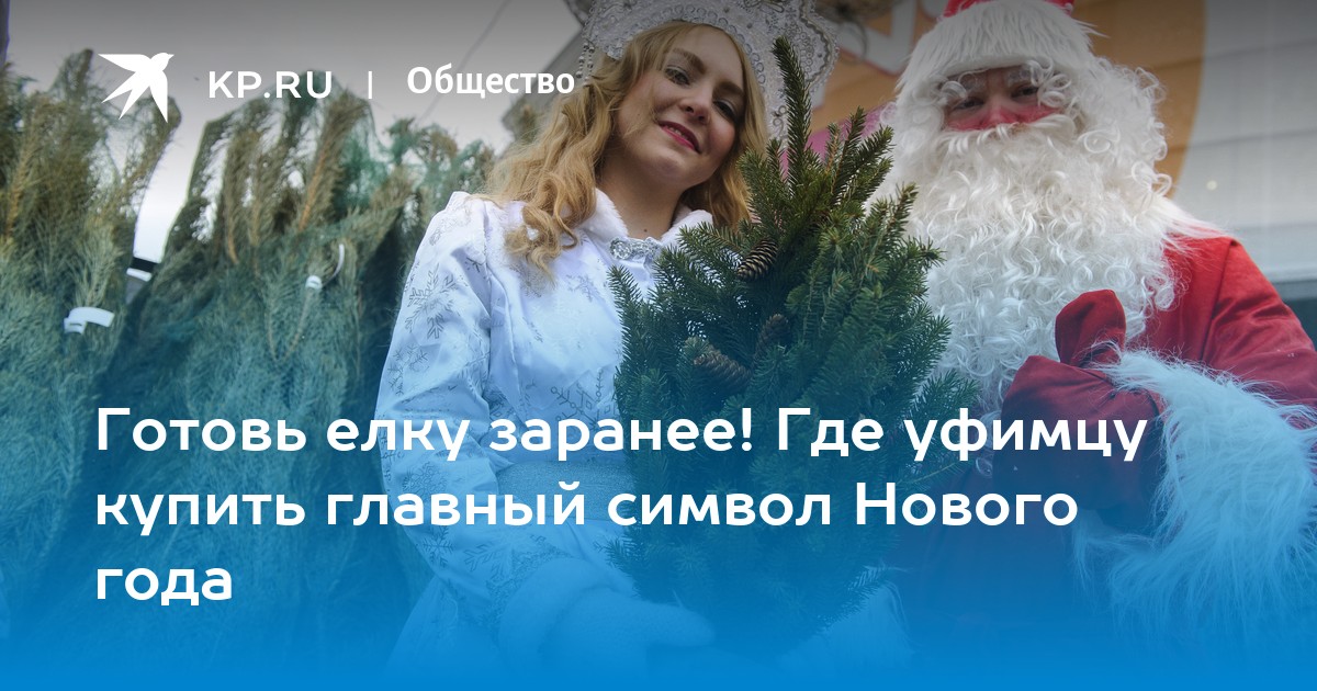 елочные базары в иркутске 2023. елочные базары в иркутске 2023. елочные базары на чертановской улице. елка this is bazaar белоруссия. ель фото купить.