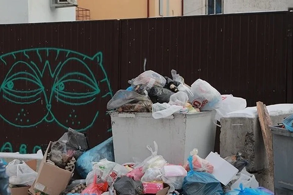 Регоператор по вывозу ТКО в Вилюйском районе убрал должным образом мусор лишь после вмешательства прокуратуры